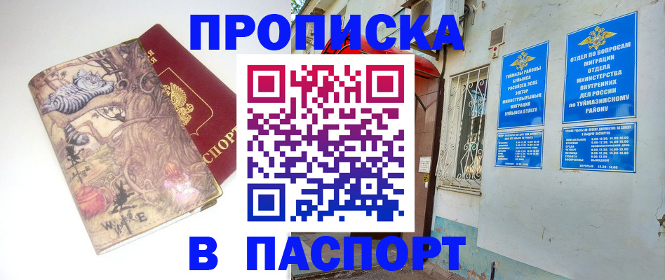 пропишу в квартире в Приморско-Ахтарске